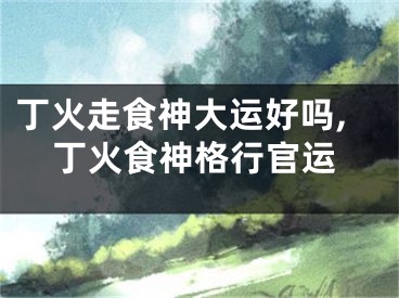 丁火走食神大运好吗,丁火食神格行官运