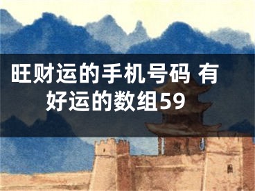 旺财运的手机号码 有好运的数组59