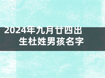 2024年九月廿四出生杜姓男孩名字