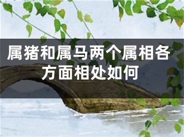 属猪和属马两个属相各方面相处如何