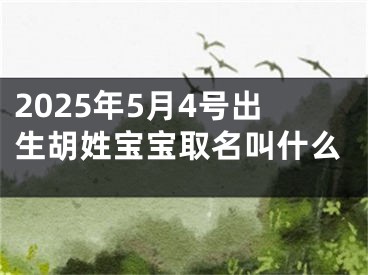 2025年5月4号出生胡姓宝宝取名叫什么