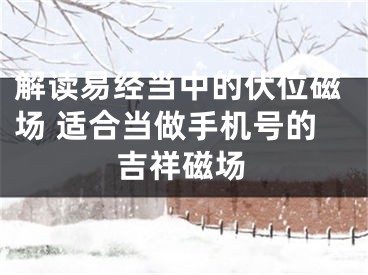解读易经当中的伏位磁场 适合当做手机号的吉祥磁场