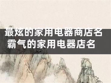 最炫的家用电器商店名 霸气的家用电器店名