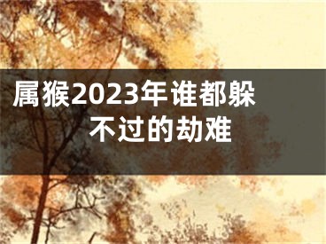 属猴2023年谁都躲不过的劫难
