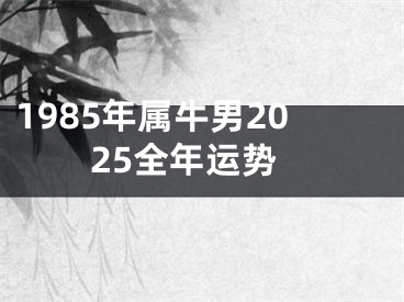 1985年属牛男2025全年运势