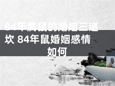 84年属鼠的婚姻三道坎 84年鼠婚姻感情如何