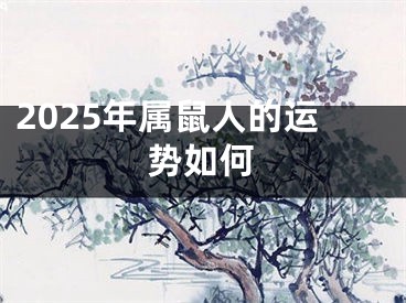 2025年属鼠人的运势如何