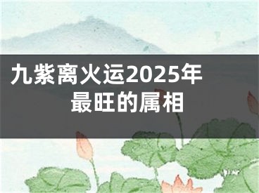 九紫离火运2025年最旺的属相