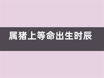 属猪上等命出生时辰