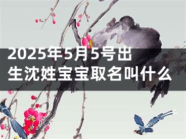 2025年5月5号出生沈姓宝宝取名叫什么