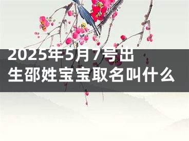 2025年5月7号出生邵姓宝宝取名叫什么
