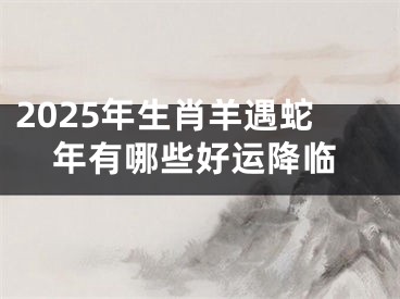 2025年生肖羊遇蛇年有哪些好运降临