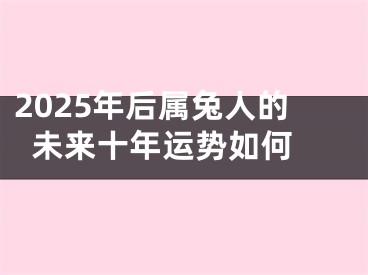 2025年后属兔人的未来十年运势如何 