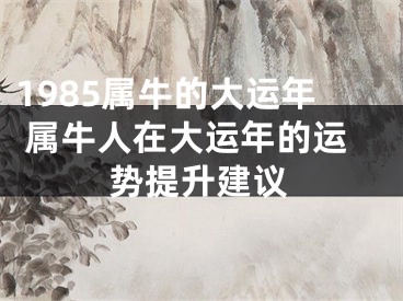 1985属牛的大运年 属牛人在大运年的运势提升建议