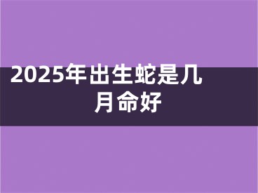 2025年出生蛇是几月命好