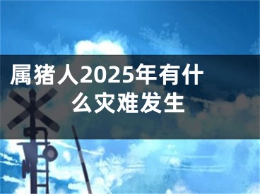 属猪人2025年有什么灾难发生