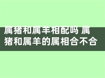 属猪和属羊相配吗 属猪和属羊的属相合不合