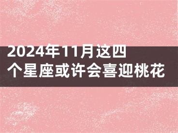 2024年11月这四个星座或许会喜迎桃花
