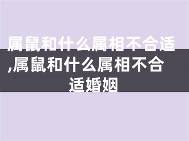 属鼠和什么属相不合适,属鼠和什么属相不合适婚姻