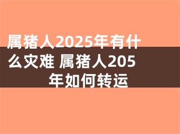 属猪人2025年有什么灾难 属猪人205年如何转运