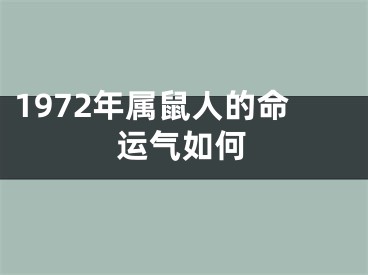 1972年属鼠人的命运气如何