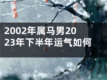 2002年属马男2023年下半年运气如何
