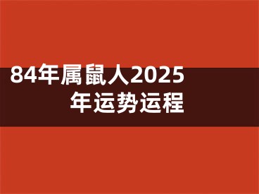 84年属鼠人2025年运势运程