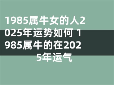 1985属牛女的人2025年运势如何 1985属牛的在2025年运气