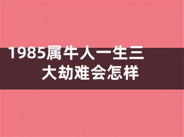 1985属牛人一生三大劫难会怎样