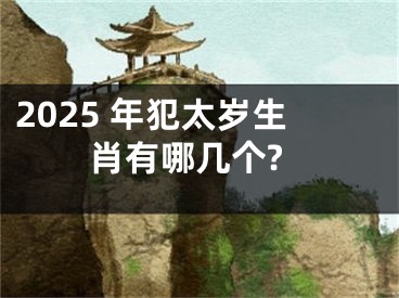 2025 年犯太岁生肖有哪几个?