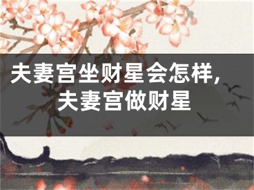 夫妻宫坐财星会怎样,夫妻宫做财星