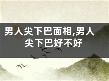男人尖下巴面相,男人尖下巴好不好
