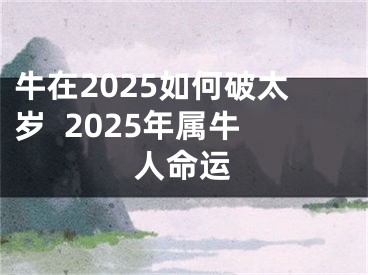牛在2025如何破太岁  2025年属牛人命运