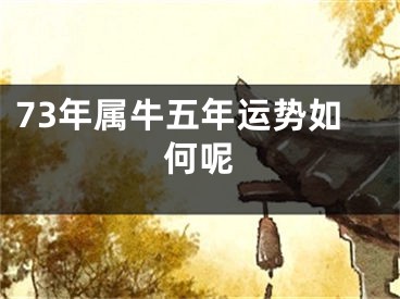 73年属牛五年运势如何呢