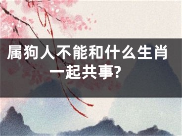 属狗人不能和什么生肖一起共事?