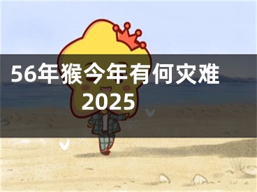 56年猴今年有何灾难2025