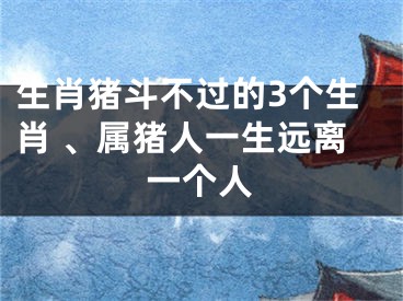 生肖猪斗不过的3个生肖 、属猪人一生远离一个人