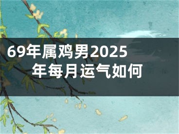 69年属鸡男2025年每月运气如何