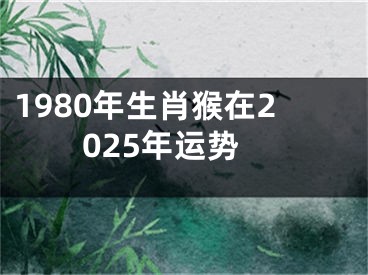 1980年生肖猴在2025年运势