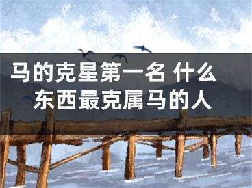 马的克星第一名 什么东西最克属马的人