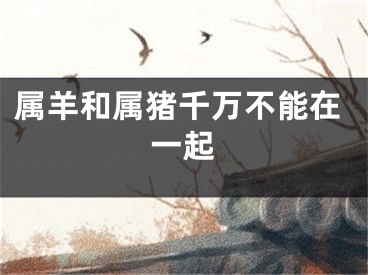 属羊和属猪千万不能在一起