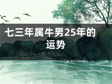 七三年属牛男25年的运势