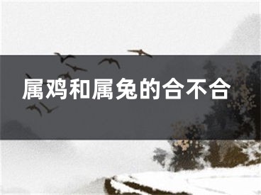 属鸡和属兔的合不合