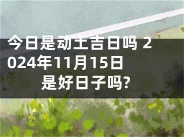今日是动土吉日吗 2024年11月15日是好日子吗?