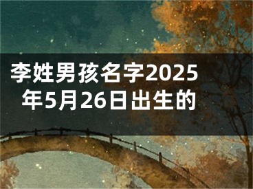 李姓男孩名字2025年5月26日出生的
