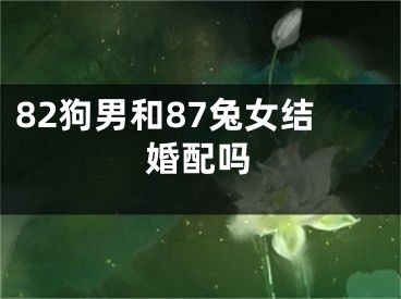 82狗男和87兔女结婚配吗