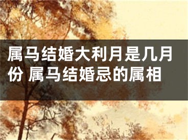 属马结婚大利月是几月份 属马结婚忌的属相