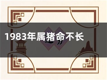 1983年属猪命不长