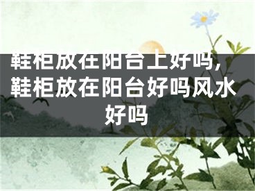 鞋柜放在阳台上好吗,鞋柜放在阳台好吗风水好吗