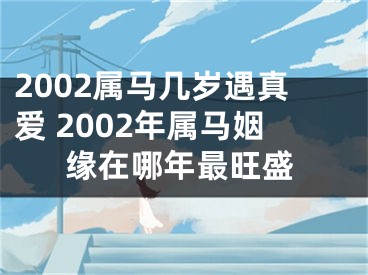 2002属马几岁遇真爱 2002年属马姻缘在哪年最旺盛